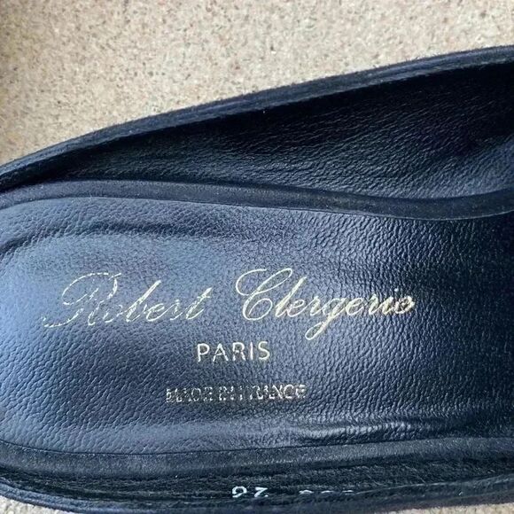 Robert Clergerie Alice Suede Mules - Picture 7 of 13